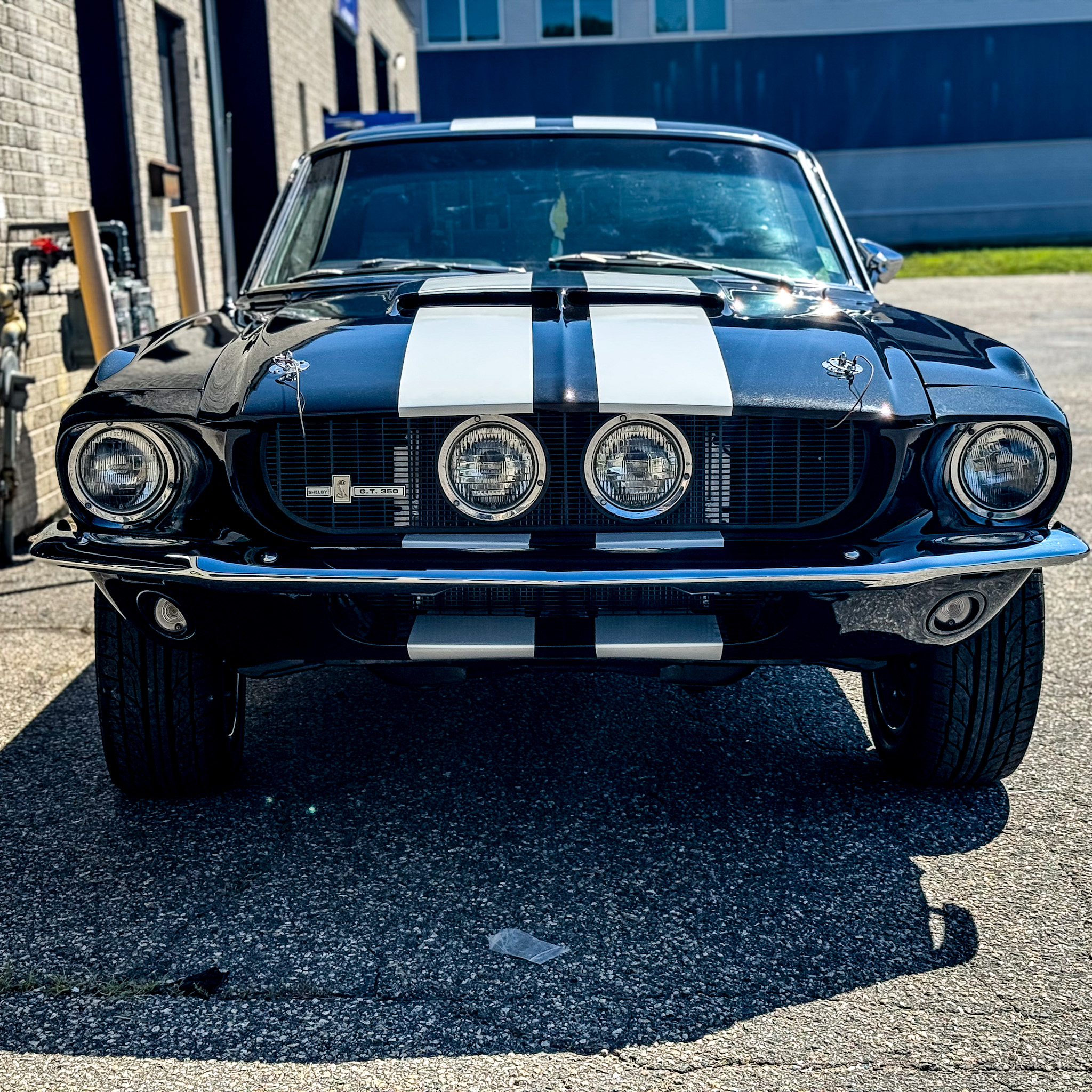 Stripes & Custom Decals