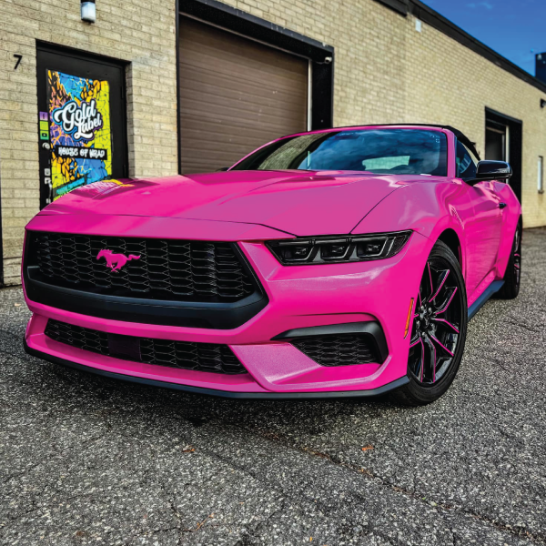 Vinyl & Custom Printed Wraps